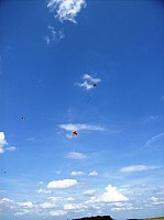 2008 KiteFestival-010.jpg